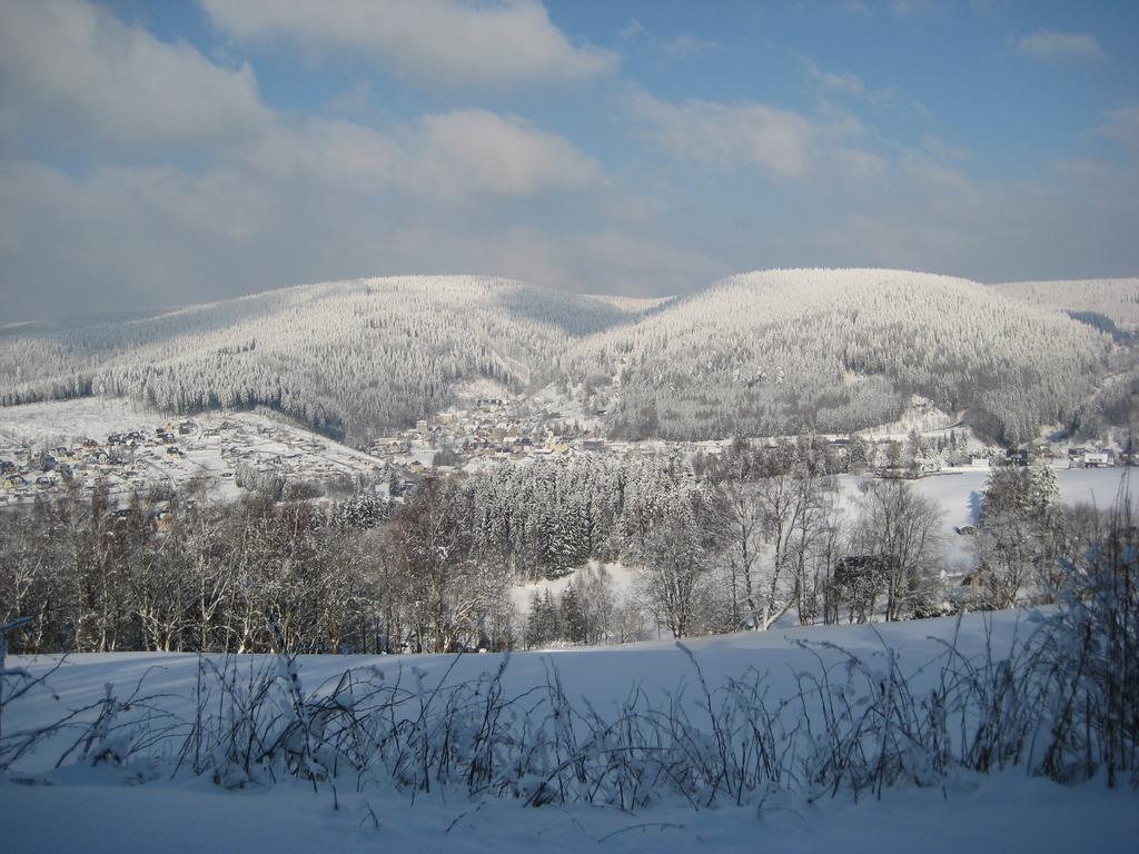 Fruehstuecks Pension Zum Postillion Klingenthal Εξωτερικό φωτογραφία